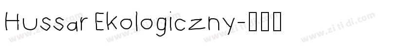 Hussar Ekologiczny字体转换